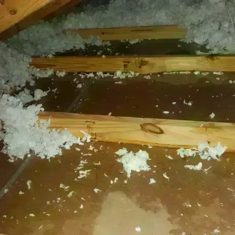 Attic Water Damage in Concordia Parish, LA